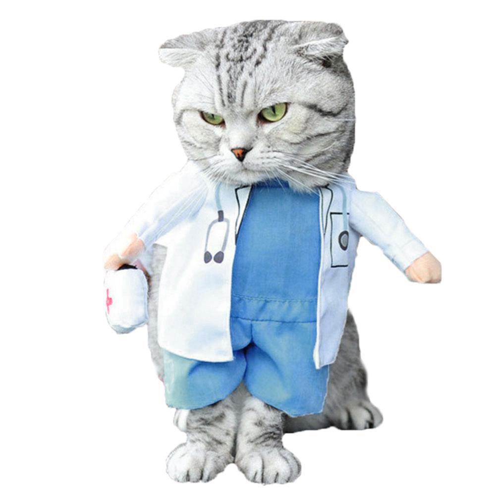 Pet Apparel