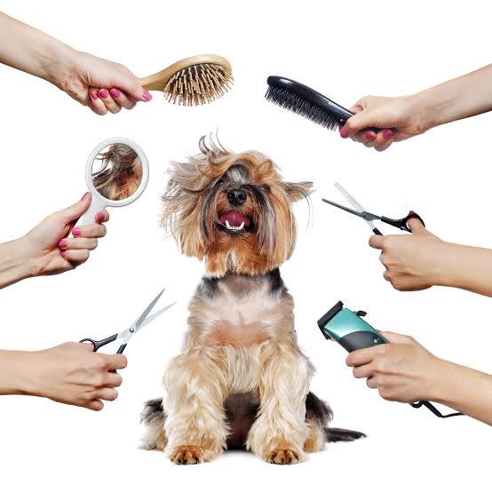 Pet Grooming