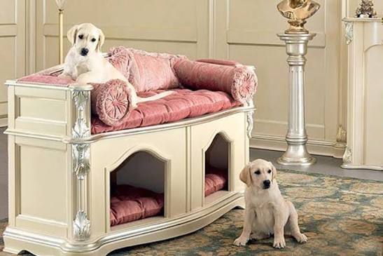 Pet Furniture